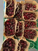 🍒🍒🍒KERSEN🍒🍒🍒